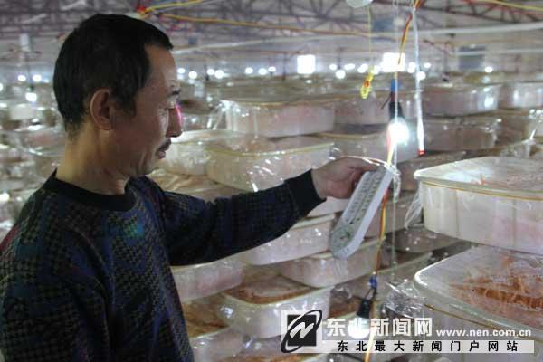 ÁÉÄþ¸§Ë³ÇåÔÏØÅ©ÃñÖ£ÓѺéÖÖÖ²±±³æ²Ýϲ»ñ³É¹¦4