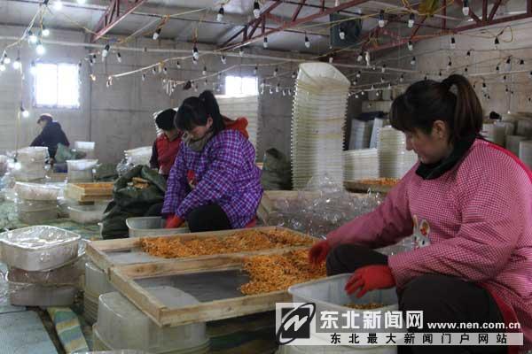 ÁÉÄþ¸§Ë³ÇåÔÏØÅ©ÃñÖ£ÓѺéÖÖÖ²±±³æ²Ýϲ»ñ³É¹¦3