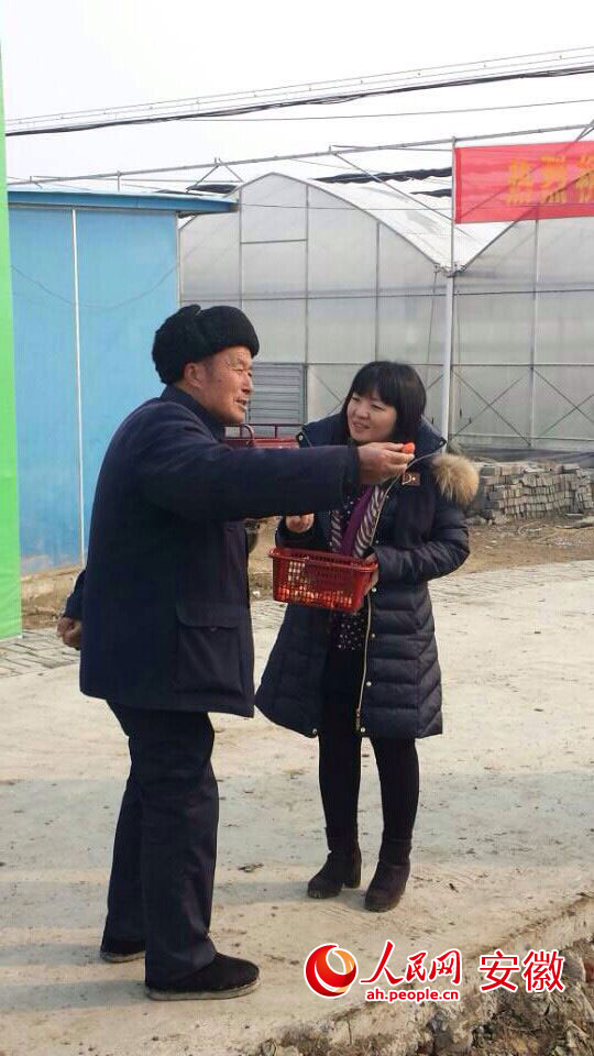 °²»Õ³¤·áÏØ£ºÐ¡Ð¡²ÝÝ®£¬´øÀ´ºìºì»ð»ðºÃÈÕ×Ó