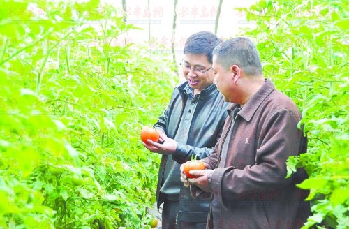 山东崔家集镇:追梦小伙成致富带头人