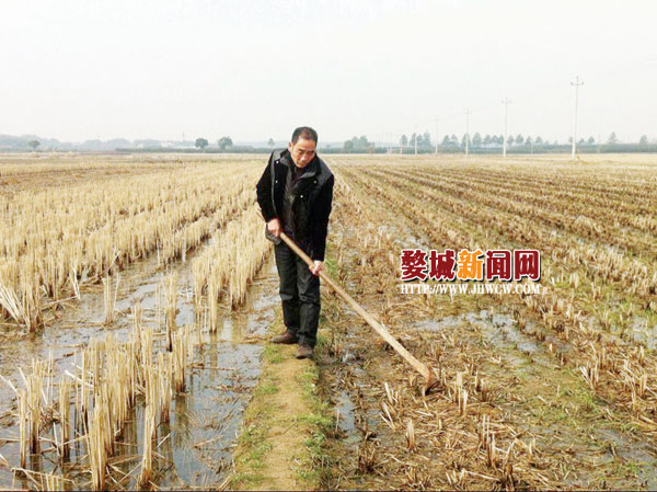 周渭祥:种粮大户成了农村致富的“领头羊”