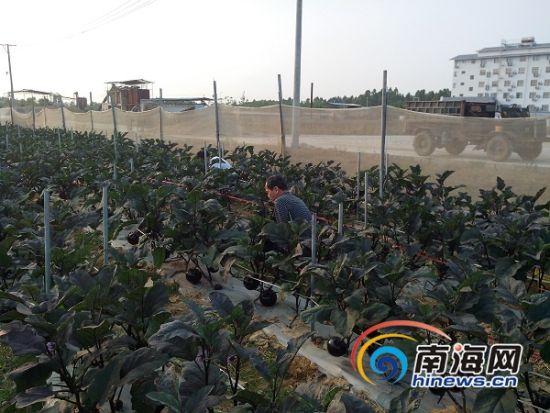 ���϶����ϲ�Ǣ̸������������37����ܶ���10��Ԫ