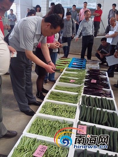 �ڵؾ��������ֶ����춹�ࡢ������Ʒ��