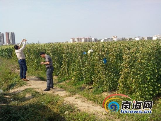 �ڵؾ�����������һ���ؿ��쳤������