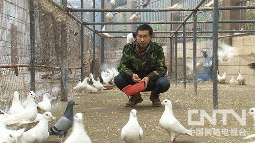 四川宜宾:瞒着父母辞职创业之后(致富经)4