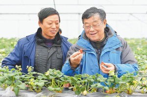 赵亚夫:让农民富起来是他一辈子的事业