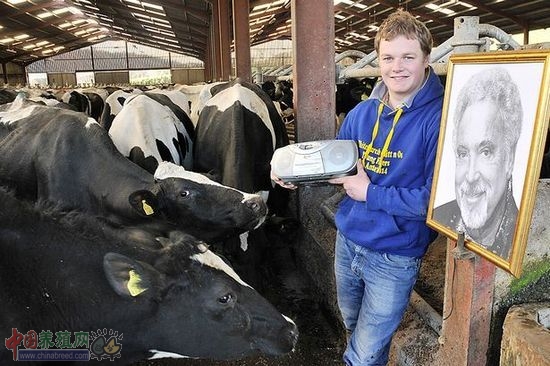 英奶牛听歌后产量和品质均得到提高