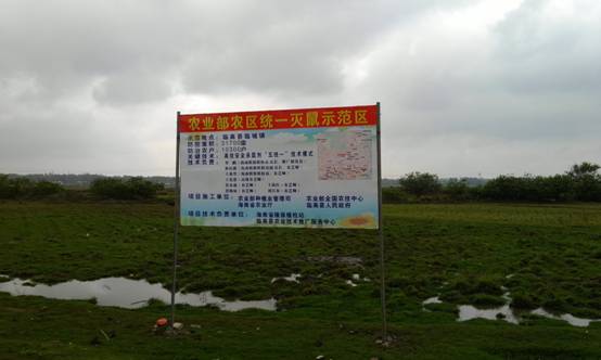 (图4统一灭鼠示范区)