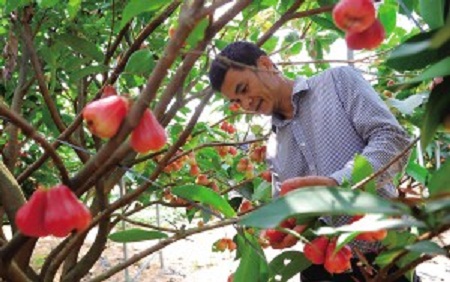 ���϶������������ַ� ����������