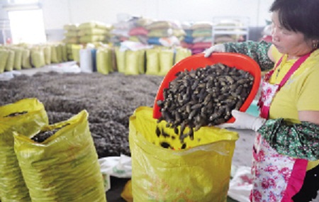 ���������У������չ����Ȳ�����