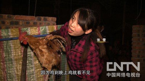 致富经:重庆市荣昌县通安村里来了个赶不走的姑娘3