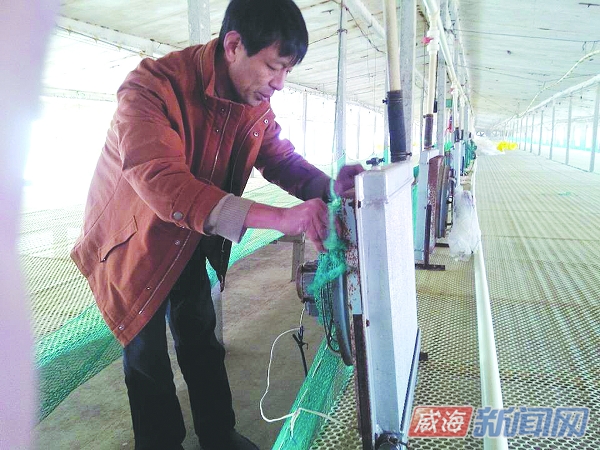 王庆明:勤劳弥补残疾 养鸡走上致富路