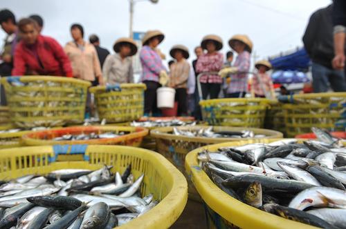 2013年我国海洋生产总值增长7.6%