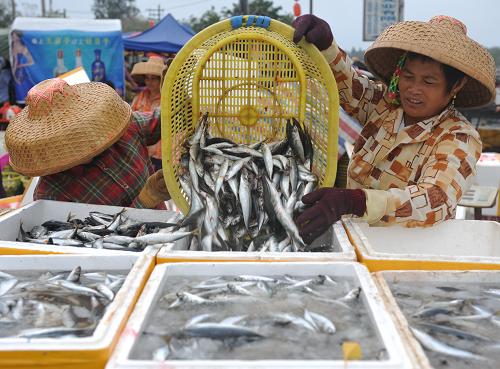 3月9日,渔民在海南省琼海市潭门港码头装运海鱼。