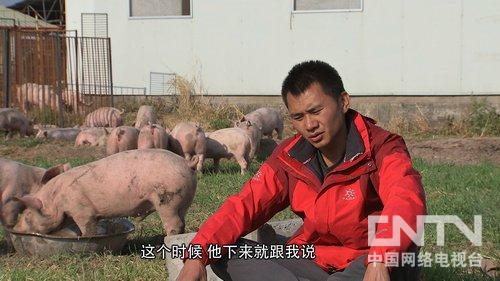 四川西昌市:父亲为我扛米 我为全家养猪(致富经)