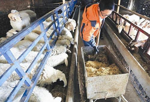 ɽ��ԫ���ش�����չ����ҵ