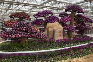 3000ũҵ⾫Ʒ𱬱ũҵ껪5