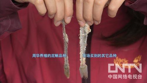 浙江衢州:一个改变命运的嘱托(致富经)2