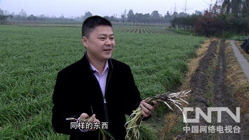 四川唐元镇:用凑来的一万元去创业(致富经)