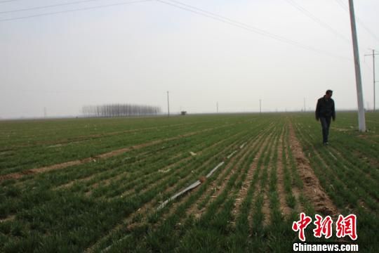 �ӱ�ũҵʾ�������ţ���ͥũ����ũ���ַ��糱