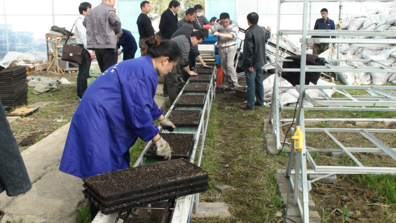 三封寺镇集中育秧大棚正在机械化播种