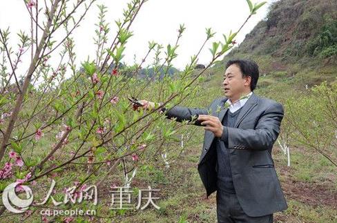 开县熊朝轩:把数千亩荒山变成“花果山”