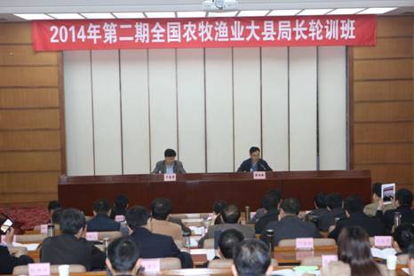 ԸĸΪʵҽ ӿƽִҵչ