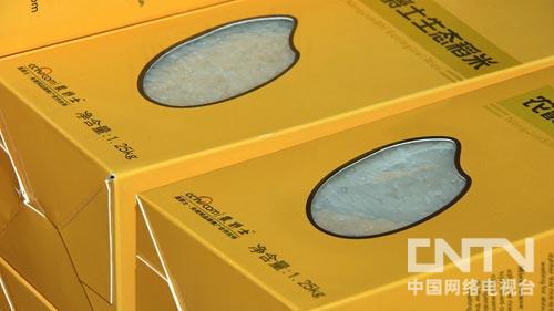 广东电白县:村民眼中的大款回村种地之后(致富经)3