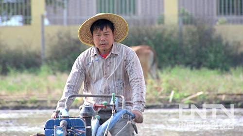 广东电白县:村民眼中的大款回村种地之后(致富经)