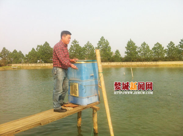 潘庆军:家庭农场里的生意经 水产高产养殖的领头羊