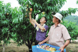 ������ɽ�����š��й������Ρ�