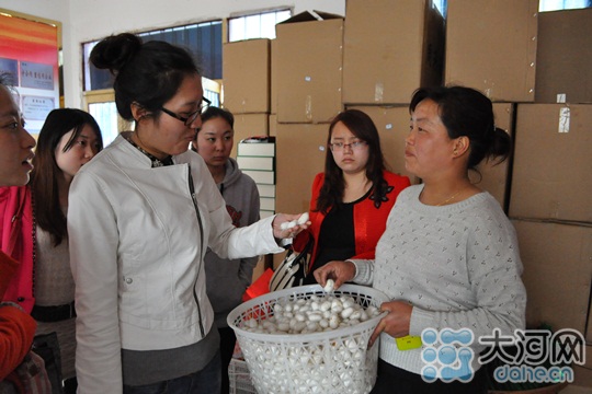 村妇代会主任张玉粉给记者看今年收上来的蚕茧