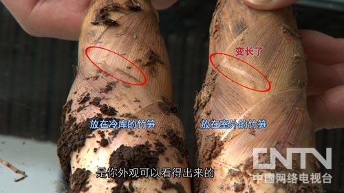 ׿18 2013۶ͻ2000¸2