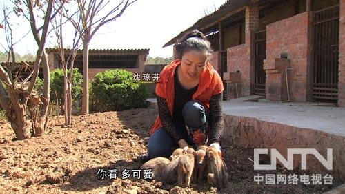 云南曲靖:一个女人背负全村人埋怨的背后3