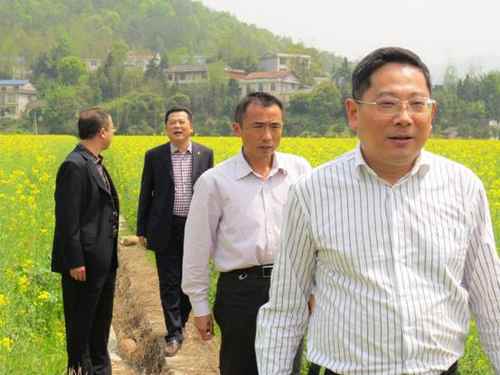 湖南慈利县县长李军深入调研油菜生产