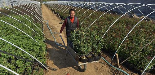 ɽƽغֵͻľרҵũ¼Ƴ׼ۣ43㣩