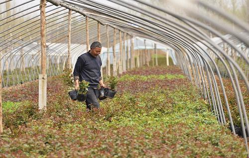 ɽƽغֵͻľרҵũڹľ41㣩