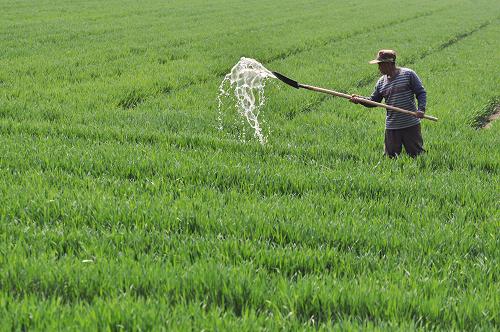 49գɽƽؼͥũڽءũ750ĶʳֲΪ