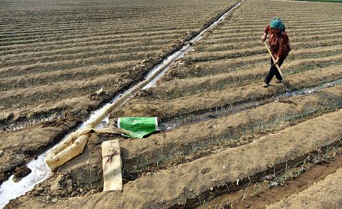 49գɽƽδֲ̱߲רҵũũ硣ũ830Ķ߲˼ӹԽֲء