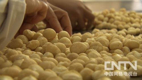 陈榆秀:赚钱就靠“懒人摇钱树”(致富经)3