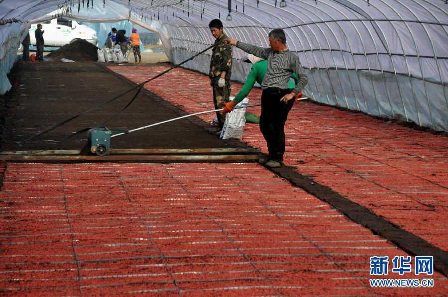 4��9�գ�ְ���ں�������������ũ��ˮ���������������֡�