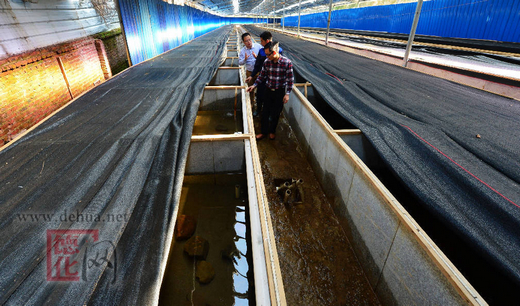 Ǹʡ»һֳķȻֳأ49㣩