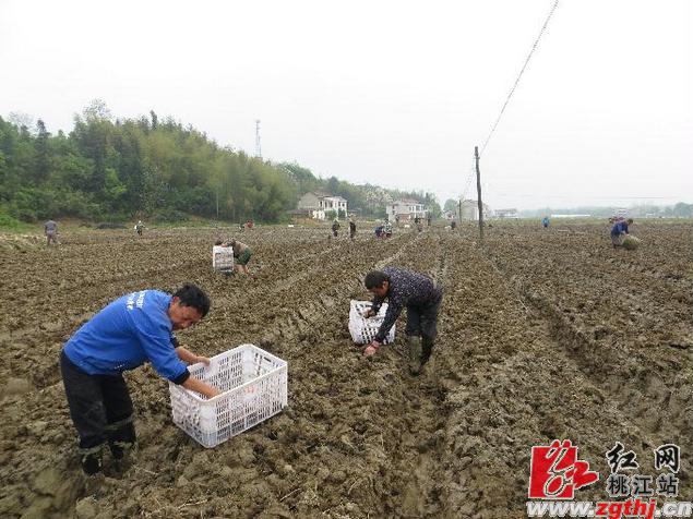 ţ︻߲˻仧ҽ ɴ500ҵ