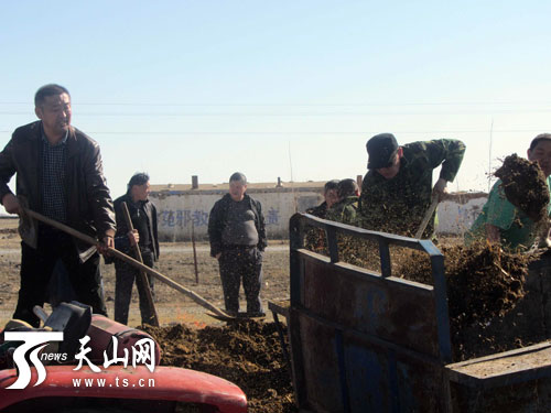 新疆和布克赛尔县:牛羊粪变“软黄金”