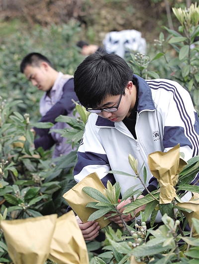 在国外经商近十年 温商回乡投资建起花果山