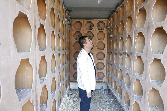 卧龙山庄“庄主”赖龙龙:花掉积蓄 回村里搞农业3