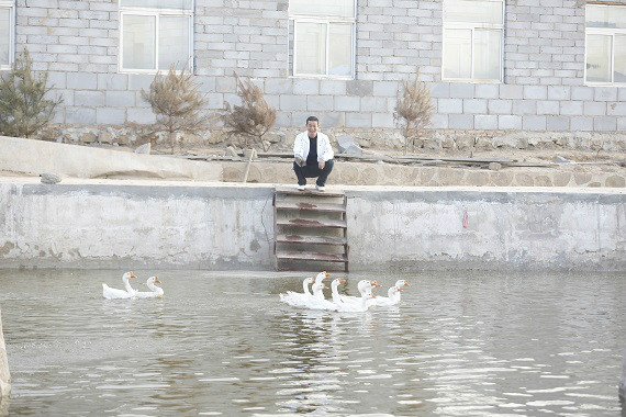 卧龙山庄“庄主”赖龙龙:花掉积蓄 回村里搞农业2