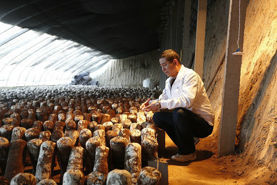 卧龙山庄“庄主”赖龙龙:花掉积蓄 回村里搞农业4