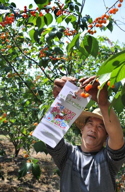 �����Լҡ�����ӣ�ҽڡ� ��ũ����ά�����ӣ������