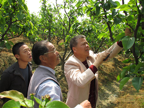 Õã½ÓàÒ¦£º¿ÆÑ§ÖÖÖ²ÍÐÆðÆßÑ®ÀÏÅ©µÄÀæÔ°ÃÎ